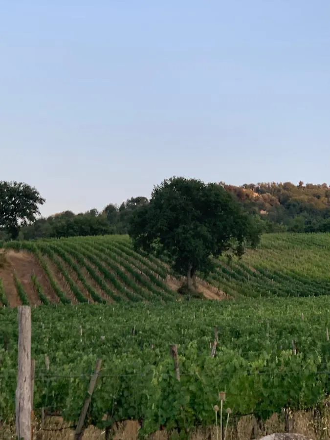 Farm stay Podere Le Mulina Castiglione d'Orcia