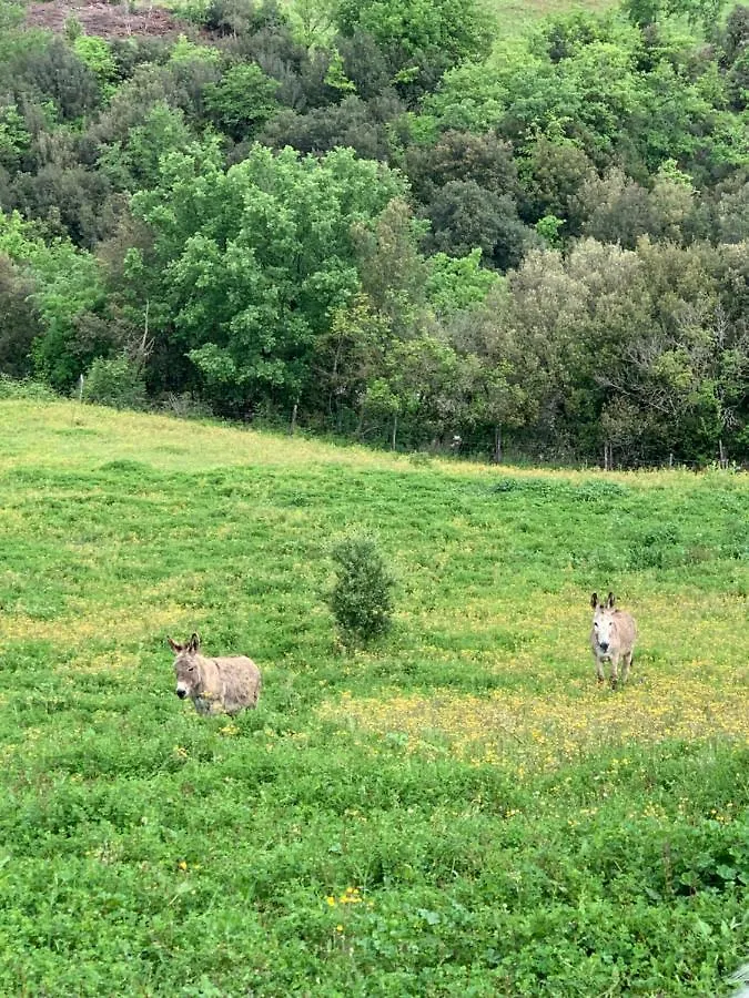 Podere Le Mulina Castiglione d'Orcia